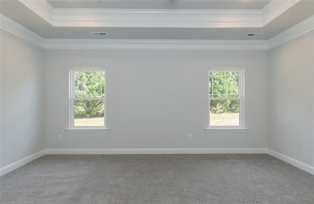 spare room with a raised ceiling, visible vents, and plenty of natural light