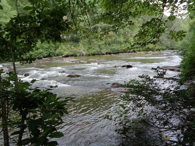 water view featuring a wooded view