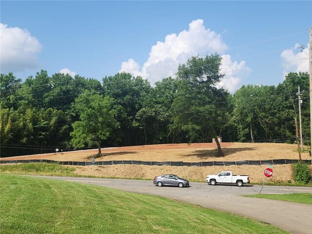 4385 Hickory Flat Highway, Canton, GA 30115 - view of yard