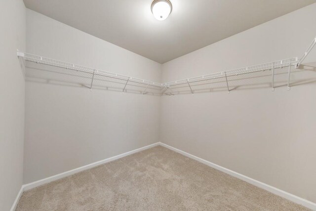 spacious closet with carpet flooring