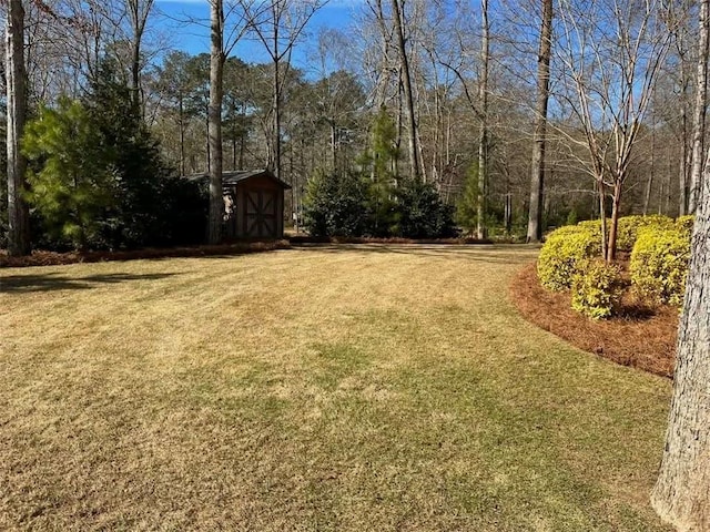 view of yard featuring an outbuilding and a storage unit