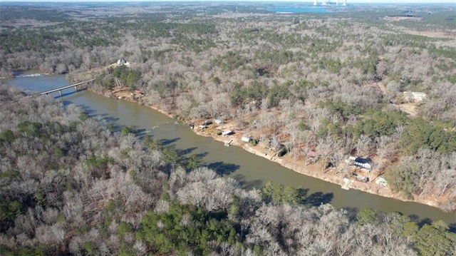 birds eye view of property with a forest view and a water view