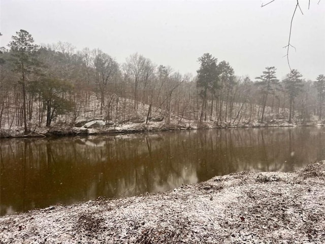 view of water feature