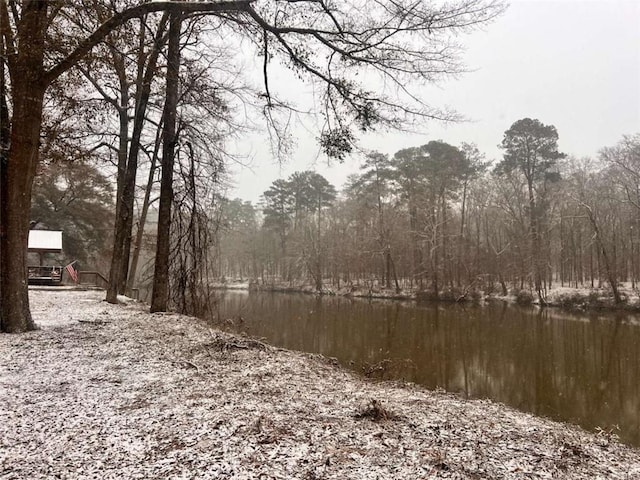 view of local wilderness featuring a water view