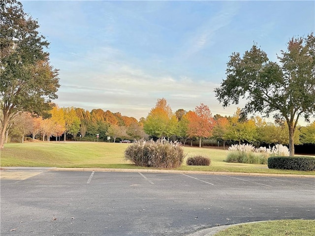 view of car parking with a yard