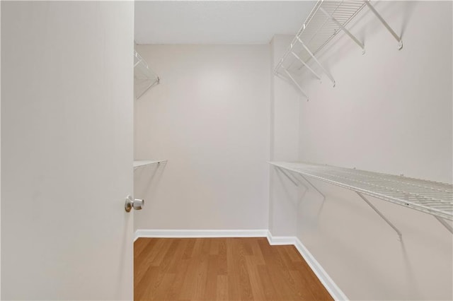 spacious closet with hardwood / wood-style floors