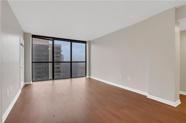 spare room featuring expansive windows and wood-type flooring