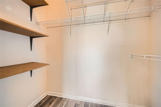 spacious closet featuring dark hardwood / wood-style floors