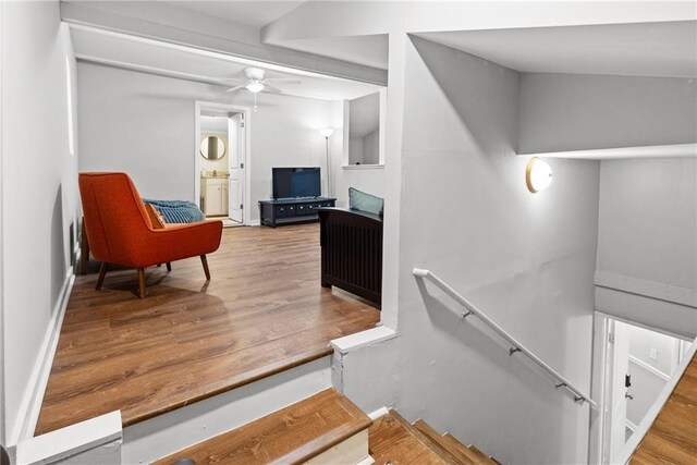 3595 S St NW, Duluth, GA 30096 - stairs featuring wood finished floors and ceiling fan