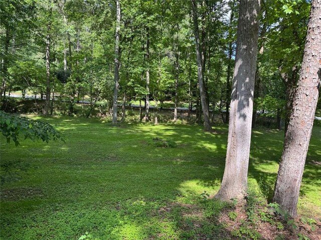 view of grassy yard