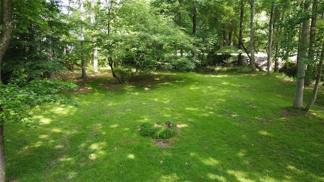 5307 Red Rock Trce, Powder Springs, GA 30127 - view of green lawn