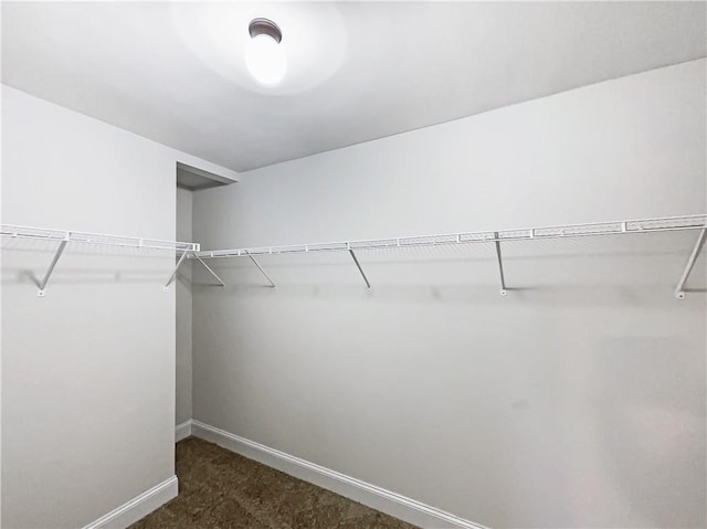 walk in closet with dark carpet