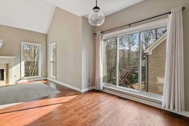 interior space featuring wood-type flooring, vaulted ceiling, and a wealth of natural light