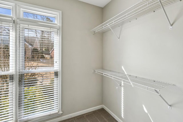 spacious closet featuring carpet floors