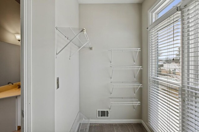 spacious closet featuring carpet floors