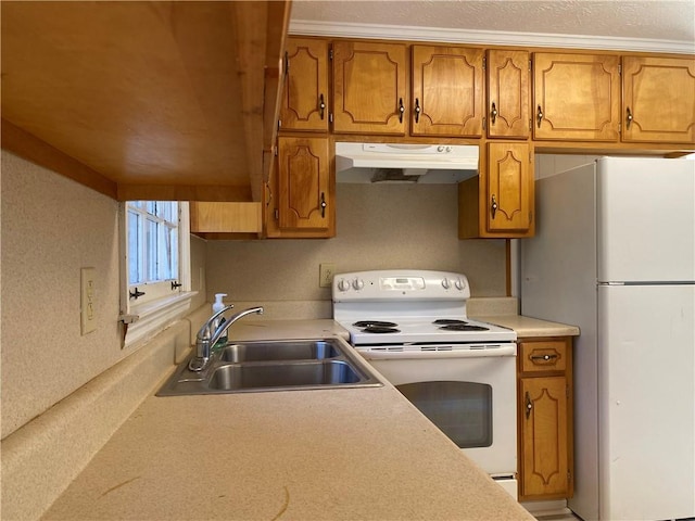 kitchen with white appliances and sink