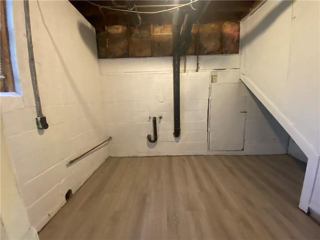 basement with hardwood / wood-style flooring