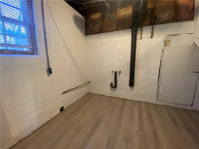 basement featuring wood-type flooring