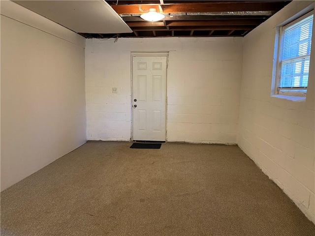 basement featuring carpet floors