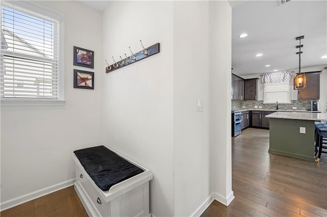 interior space featuring sink, dark wood-type flooring, and a healthy amount of sunlight