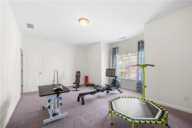 workout room featuring carpet