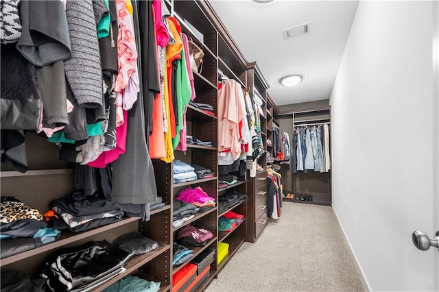 spacious closet with light carpet