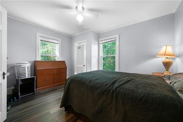 bedroom featuring a closet, ornamental molding, multiple windows, and dark wood-style flooring