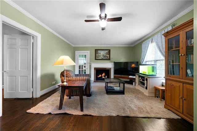 living area featuring crown molding, a ceiling fan, a warm lit fireplace, and wood finished floors