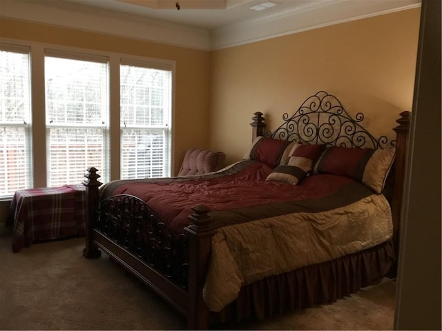 bedroom featuring carpet flooring and multiple windows