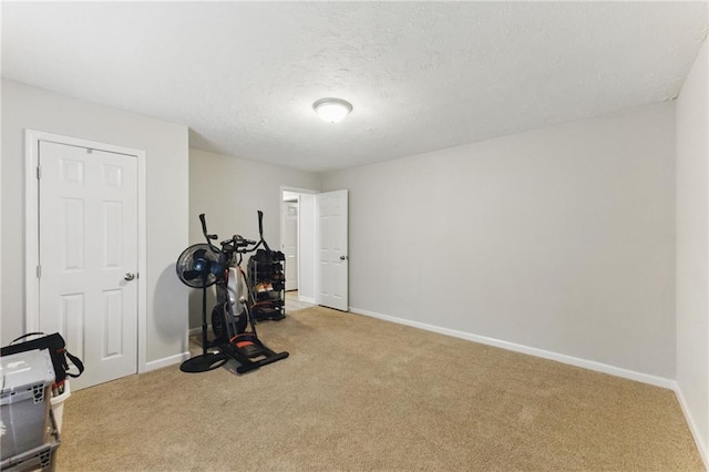 exercise area with a textured ceiling, baseboards, and carpet