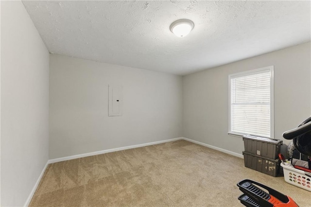 interior space with electric panel, baseboards, a textured ceiling, and carpet flooring