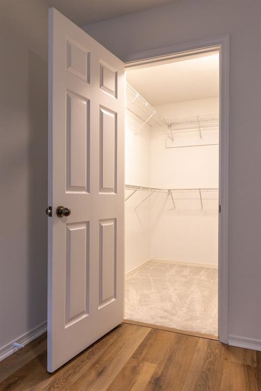 spacious closet with hardwood / wood-style floors