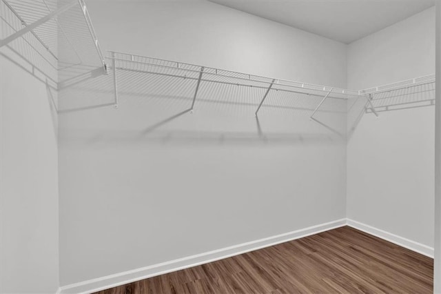 walk in closet with wood finished floors