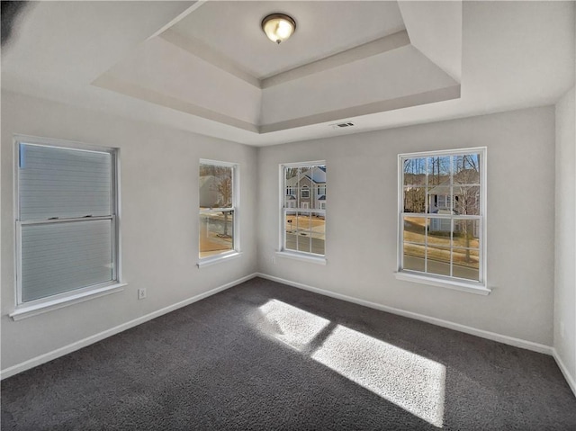 carpeted empty room with a raised ceiling