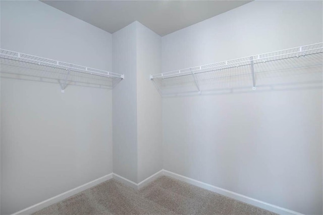 walk in closet featuring carpet