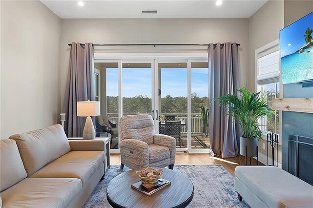 living room featuring hardwood / wood-style flooring