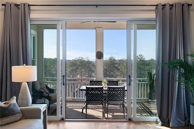 doorway featuring a wealth of natural light and wood finished floors