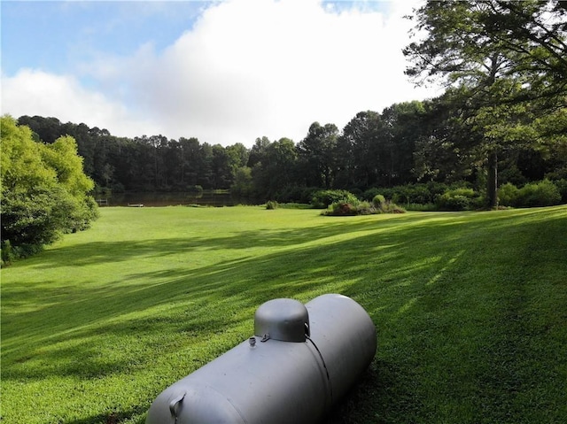 surrounding community featuring a lawn