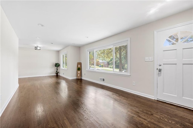 foyer featuring dark wood-type flooring