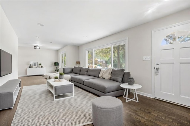 living room featuring dark wood-type flooring