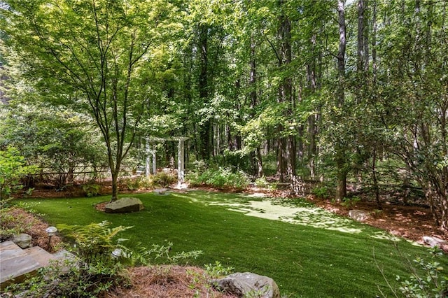 view of grassy yard