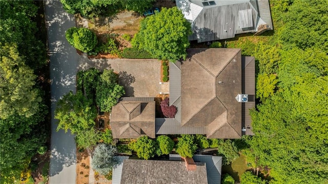 bird's eye view