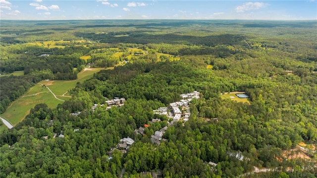 view of property location with a heavily wooded area