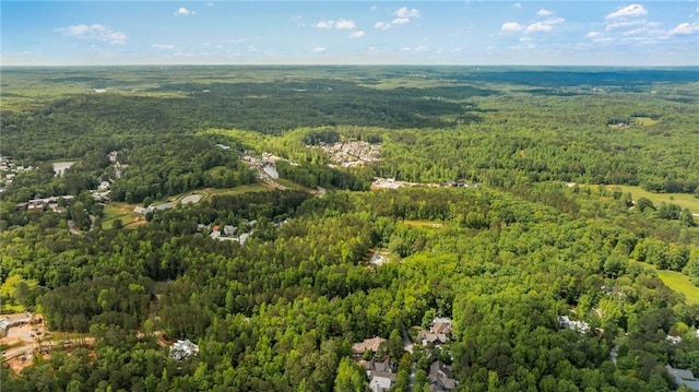 aerial view of a forest