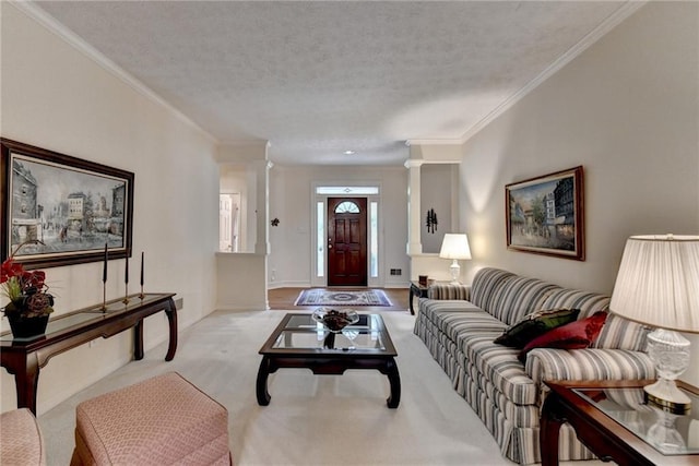 carpeted living room featuring crown molding and a textured ceiling
