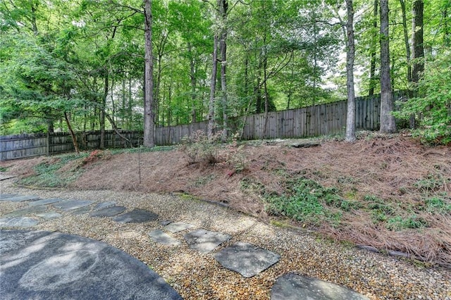 view of yard featuring a fenced backyard