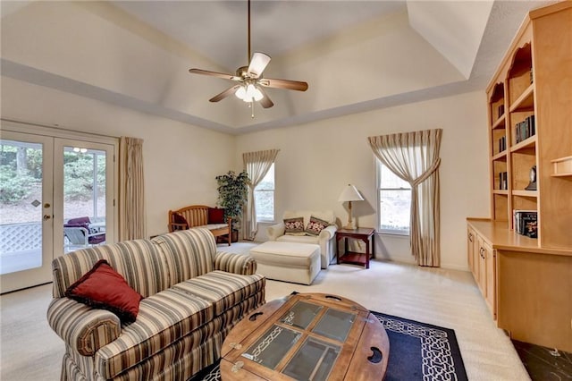 living area featuring a raised ceiling and plenty of natural light