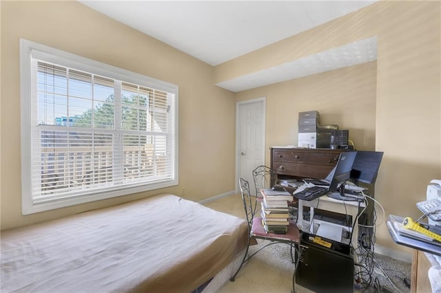 bedroom with light carpet