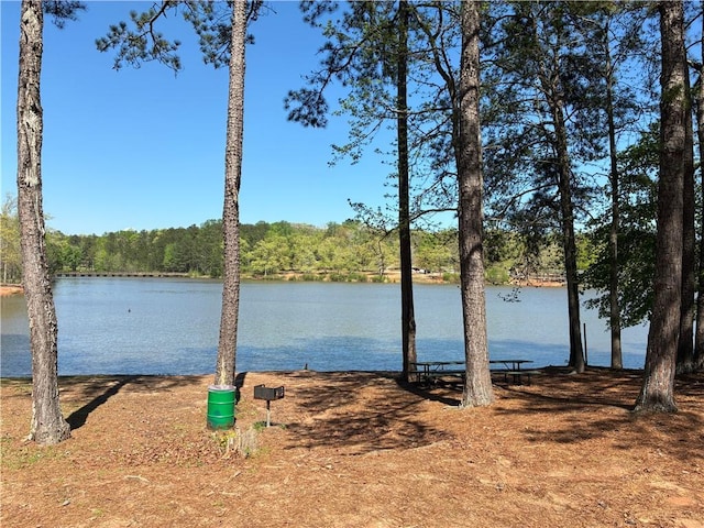 property view of water featuring a view of trees