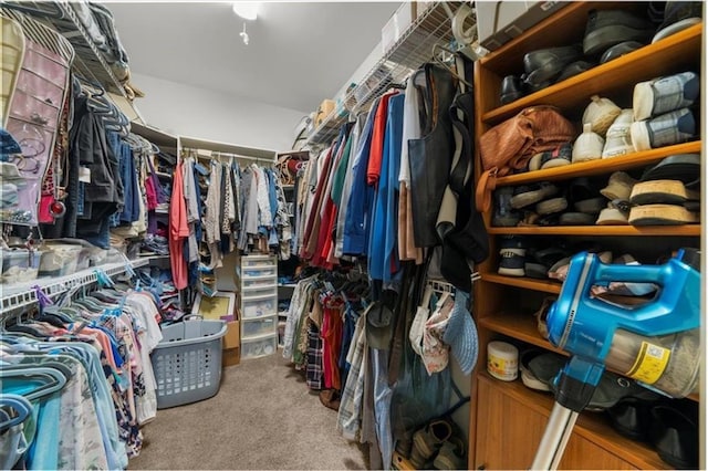 1731 Apple Pie Ridge Rd, Alto, GA 30510 - walk in closet with carpet floors
